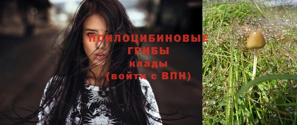 винт Алексеевка