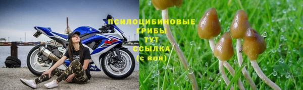 винт Алексеевка