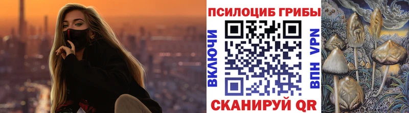 Псилоцибиновые грибы Psilocybine cubensis Рыбное